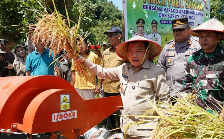Gubernur Al Haris: Pemprov dan Pemkab Bersinergi Benahi Sistem Pertanian Agar Hasil Meningkat