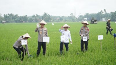 Presiden Prabowo Umumkan Indonesia Swasembada Pangan: Gubernur Al Haris Hadiri Tasyakuran Secara Virtual
