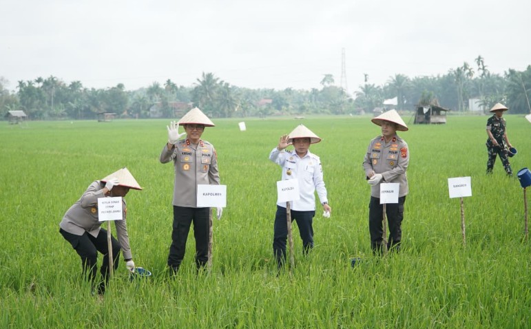 Presiden Prabowo Umumkan Indonesia Swasembada Pangan: Gubernur Al Haris Hadiri Tasyakuran Secara Virtual
