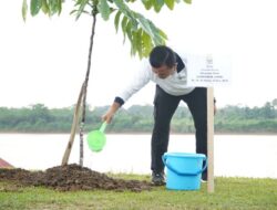 Staf Ahli Menteri Lingkungan Hidup Nyatakan Jambi Jadi Contoh Gerakan Tanam Pohon Serentak