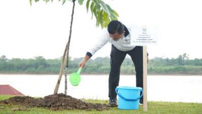 Staf Ahli Menteri Lingkungan Hidup Nyatakan Jambi Jadi Contoh Gerakan Tanam Pohon Serentak