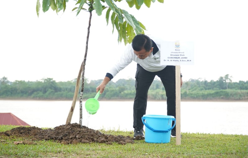 Staf Ahli Menteri Lingkungan Hidup Nyatakan Jambi Jadi Contoh Gerakan Tanam Pohon Serentak