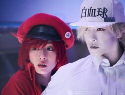 Review Film Jepang Cells at Work (2024): Petualangan Seru di Dalam Tubuh yang Bikin Ketawa Sekaligus Mikir