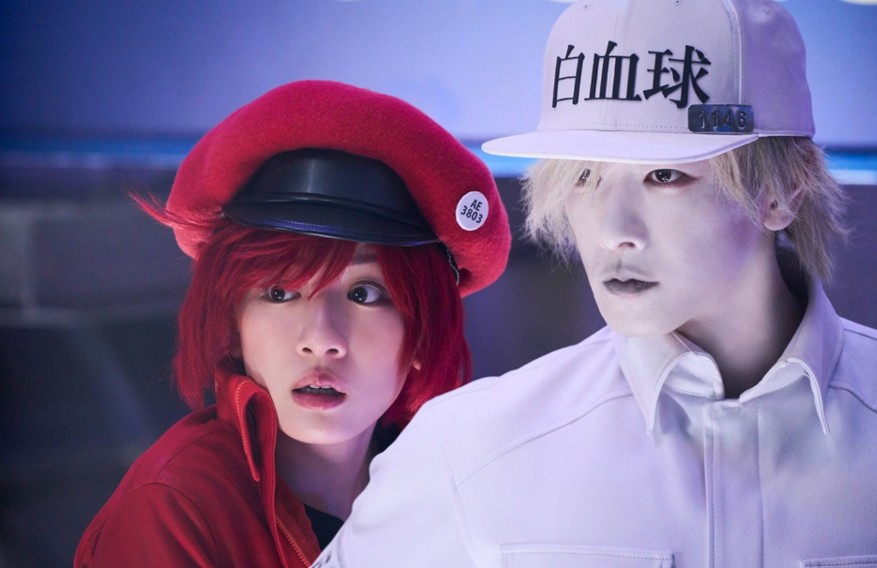 Review Film Jepang Cells at Work (2024): Petualangan Seru di Dalam Tubuh yang Bikin Ketawa Sekaligus Mikir