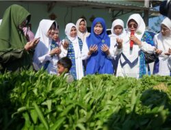Hj. Hesti Haris bersama BKMT dan Posyandu Serahkan Hewan Kurban di Desa Tangkit dan Kelurahan Kasang
