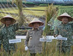 Gubernur Al Haris Hadiri Panen Raya TNI di Desa Kota Baru Geragai, Dukung Ketahanan Pangan