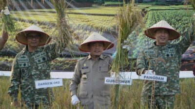 Gubernur Al Haris Hadiri Panen Raya TNI di Desa Kota Baru Geragai, Dukung Ketahanan Pangan