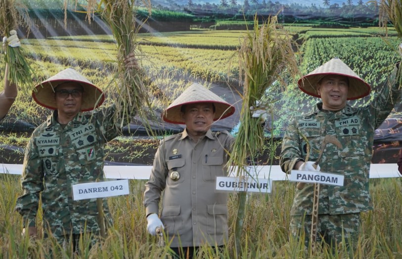 Gubernur Al Haris Hadiri Panen Raya TNI di Desa Kota Baru Geragai, Dukung Ketahanan Pangan