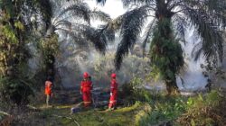 Sebagai Kontraktor Kontrak Kerja Sama (KKKS) yang mengoperasikan Wilayah Kerja Jabung, PetroChina International Jabung Ltd. turut aktif mendukung upaya penanganan karhutla, terutama di Kabupaten Tanjung Jabung Barat dan Kabupaten Tanjung Jabung Timur.