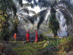 PetroChina Bantu Padamkan Karhutla di Jambi