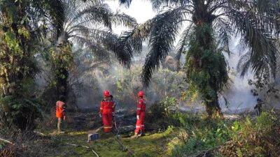 Sebagai Kontraktor Kontrak Kerja Sama (KKKS) yang mengoperasikan Wilayah Kerja Jabung, PetroChina International Jabung Ltd. turut aktif mendukung upaya penanganan karhutla, terutama di Kabupaten Tanjung Jabung Barat dan Kabupaten Tanjung Jabung Timur.