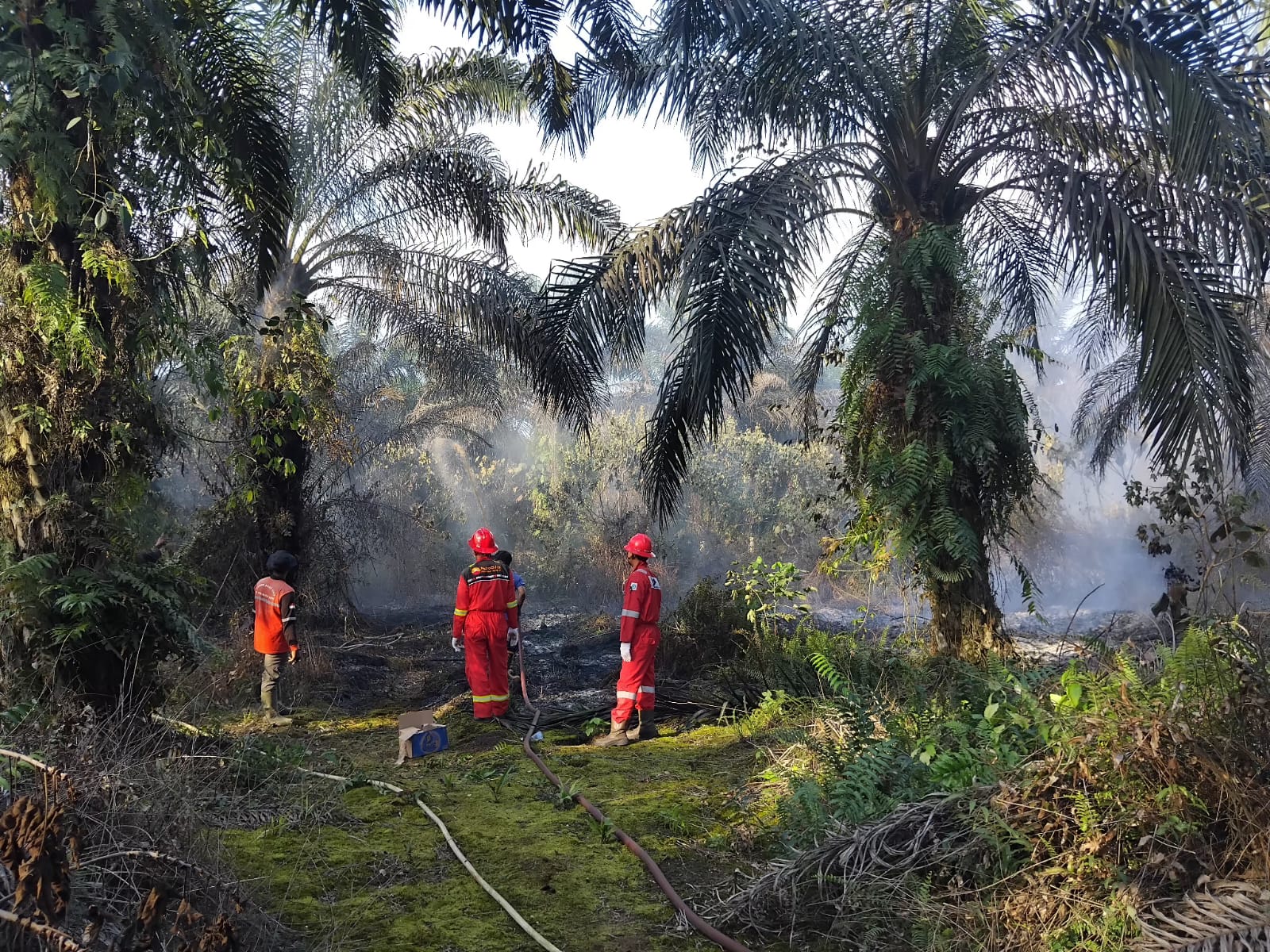 Sebagai Kontraktor Kontrak Kerja Sama (KKKS) yang mengoperasikan Wilayah Kerja Jabung, PetroChina International Jabung Ltd. turut aktif mendukung upaya penanganan karhutla, terutama di Kabupaten Tanjung Jabung Barat dan Kabupaten Tanjung Jabung Timur.
